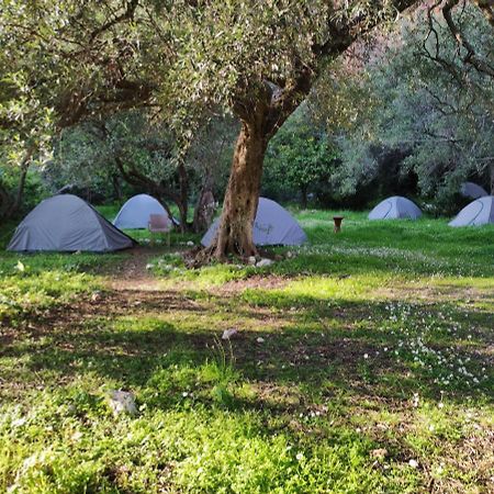 Gjipe Eco Campground Ξενοδοχείο Vuno Εξωτερικό φωτογραφία