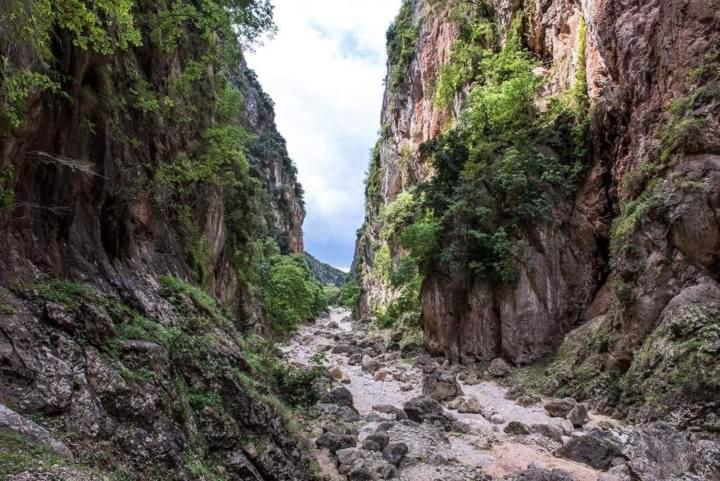 Gjipe Eco Campground Ξενοδοχείο Vuno Εξωτερικό φωτογραφία