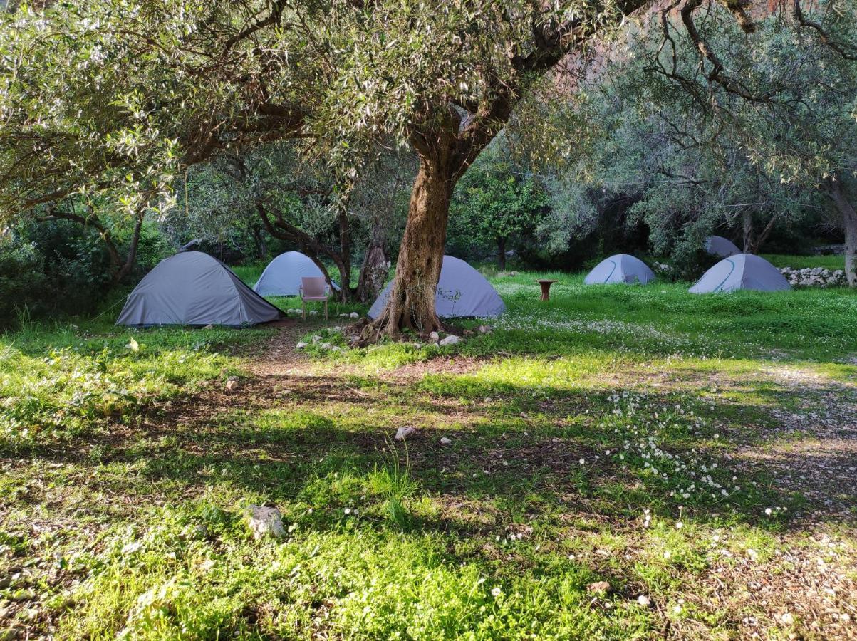 Gjipe Eco Campground Ξενοδοχείο Vuno Εξωτερικό φωτογραφία